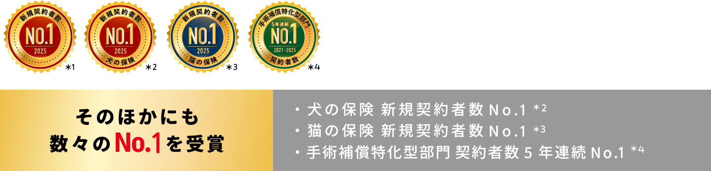 そのほかにも数々のNo.1を受賞