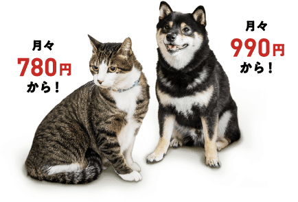 猫は月々780円から！犬は月々990円から！