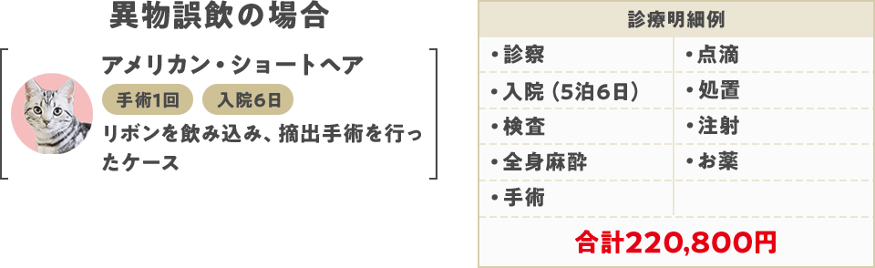 異物誤飲の場合 合計220,800円