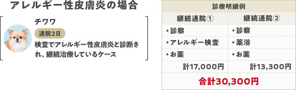 アレルギー性皮膚炎の場合 合計30,300円