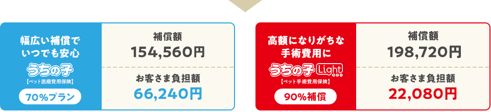 幅広い補償でいつでも安心 うちの子 70%プラン 補償額154,560円 お客さま負担額66,240円 高額になりがちな手術費用に うちの子ライト 90%補償 補償額198,720円 お客さま負担額22,080円