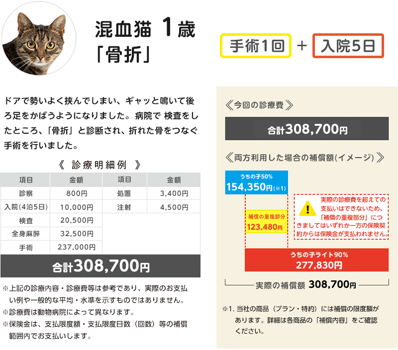 混血猫1歳「骨折」の診療費の支払いイメージ