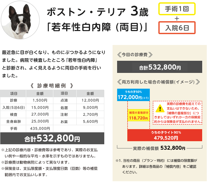 ボストン・テリア3歳「若年性白内障（両目）」の診療費の支払いイメージ