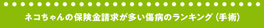 ネコちゃんの保険金請求が多い傷病のランキング（手術）