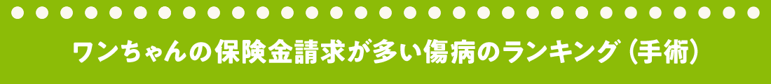 ワンちゃんの保険金請求が多い傷病のランキング（手術）
